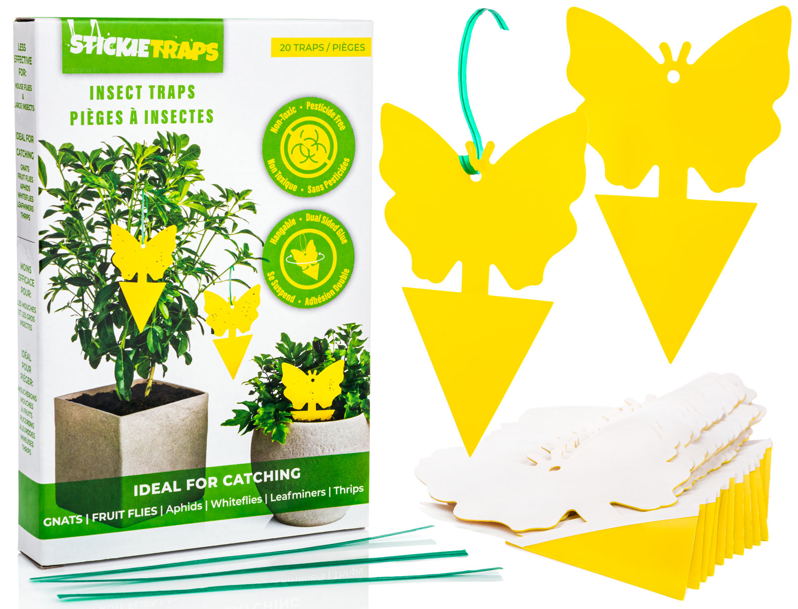 EcoCanucks StickieTraps (20 Pack) - Sticky Fruit Fly Traps & Gnat